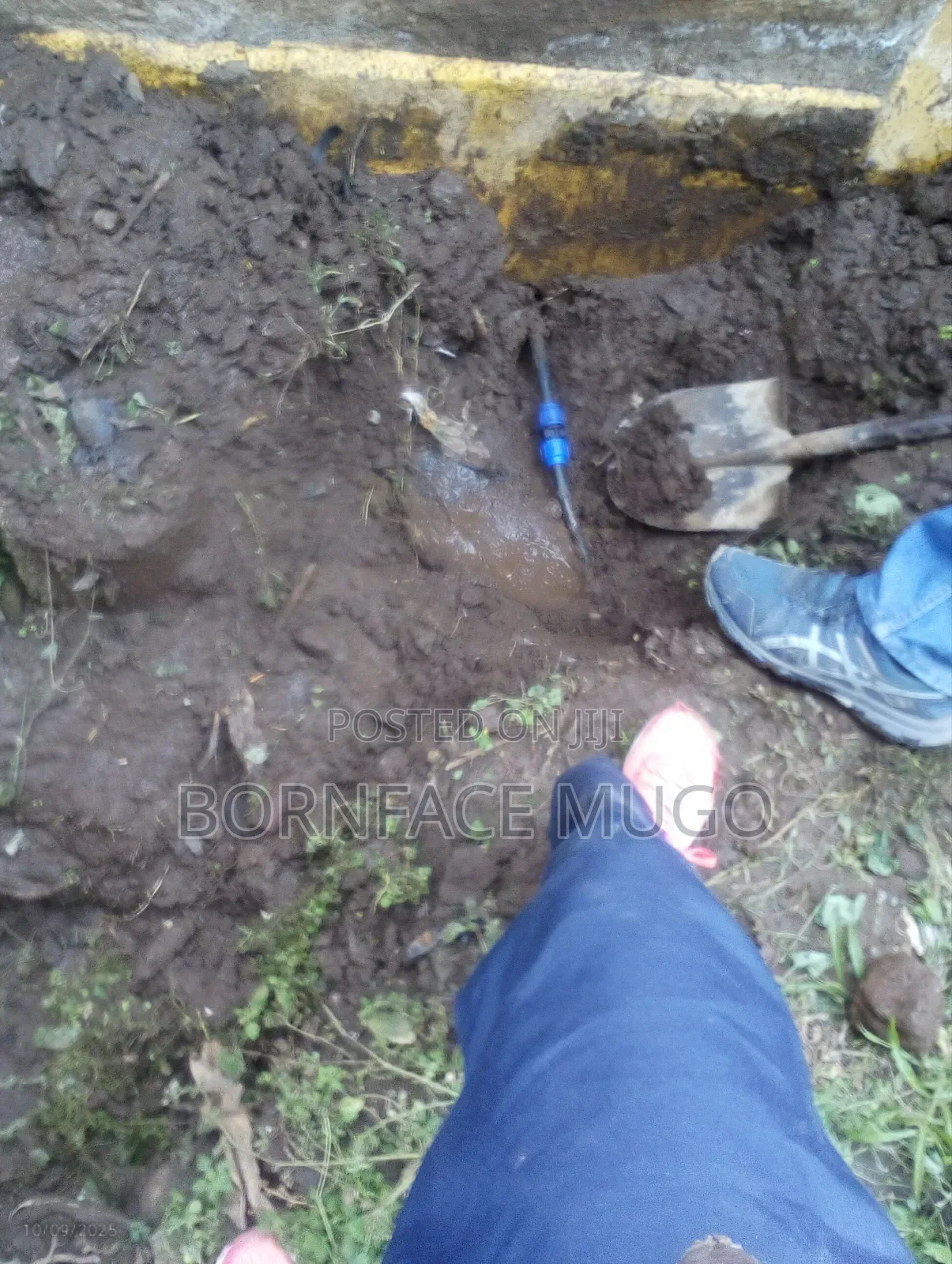 Professional Plumber
