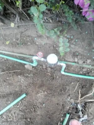 Professional Plumber