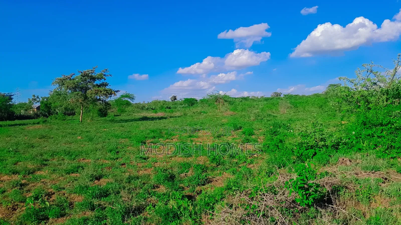 50*100 Plots