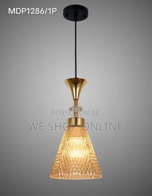 Single Pendant Light