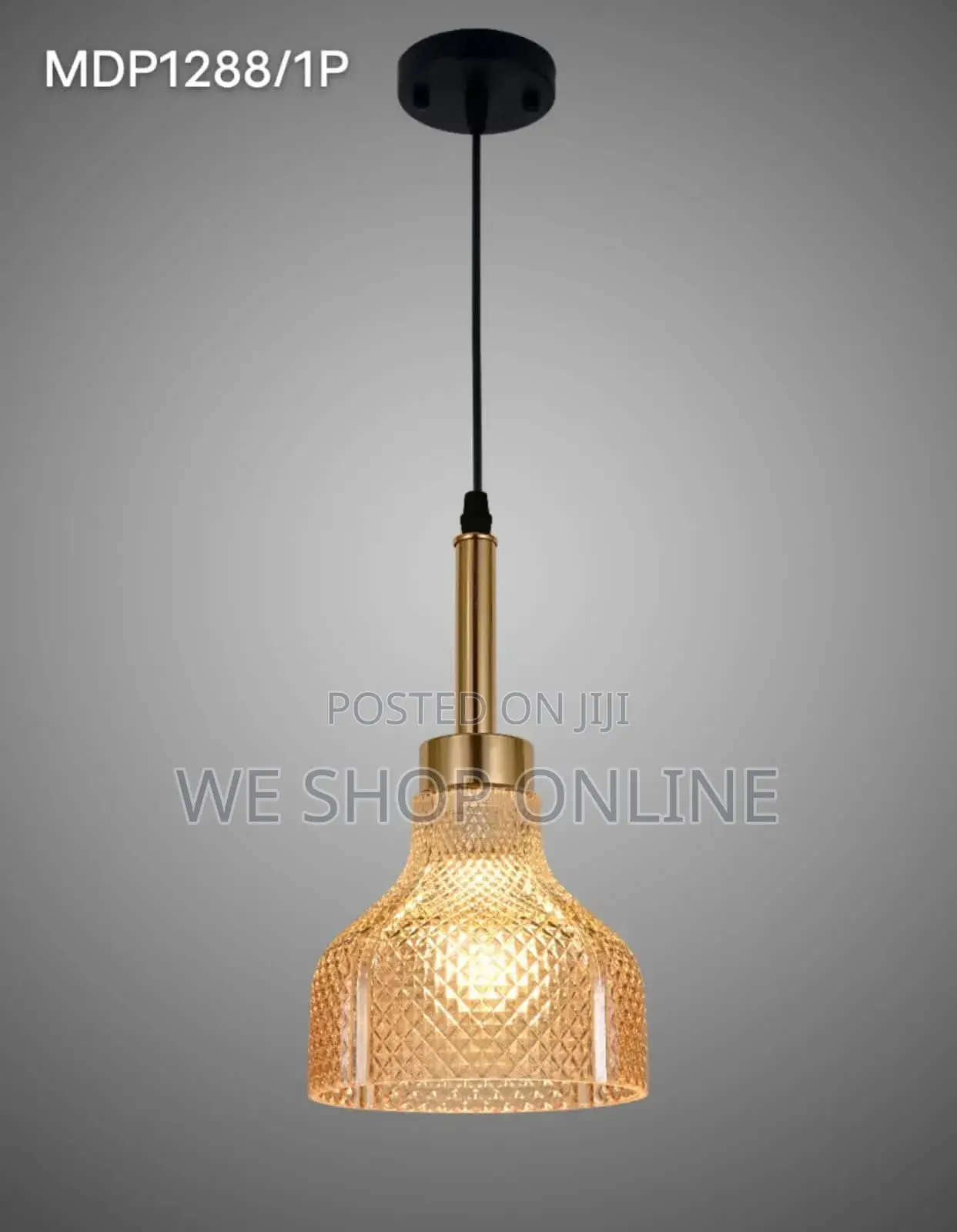 Single Pendant Light