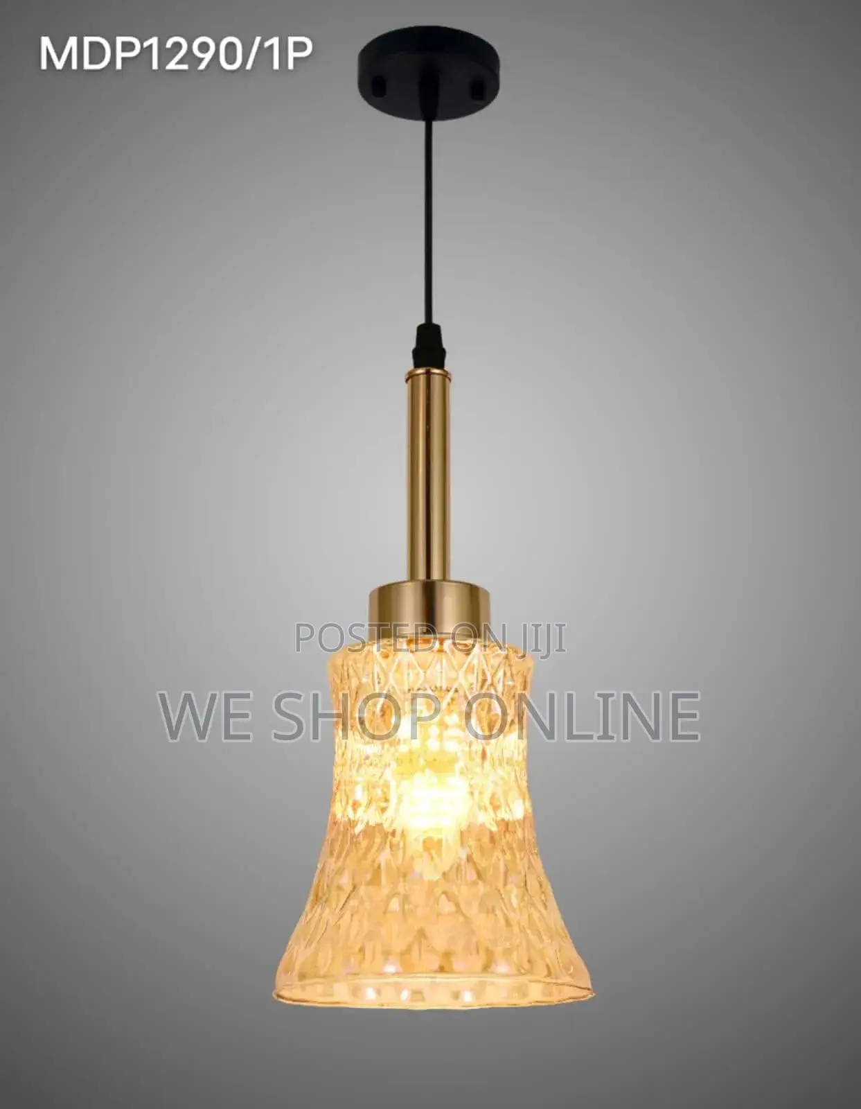 Single Pendant Light