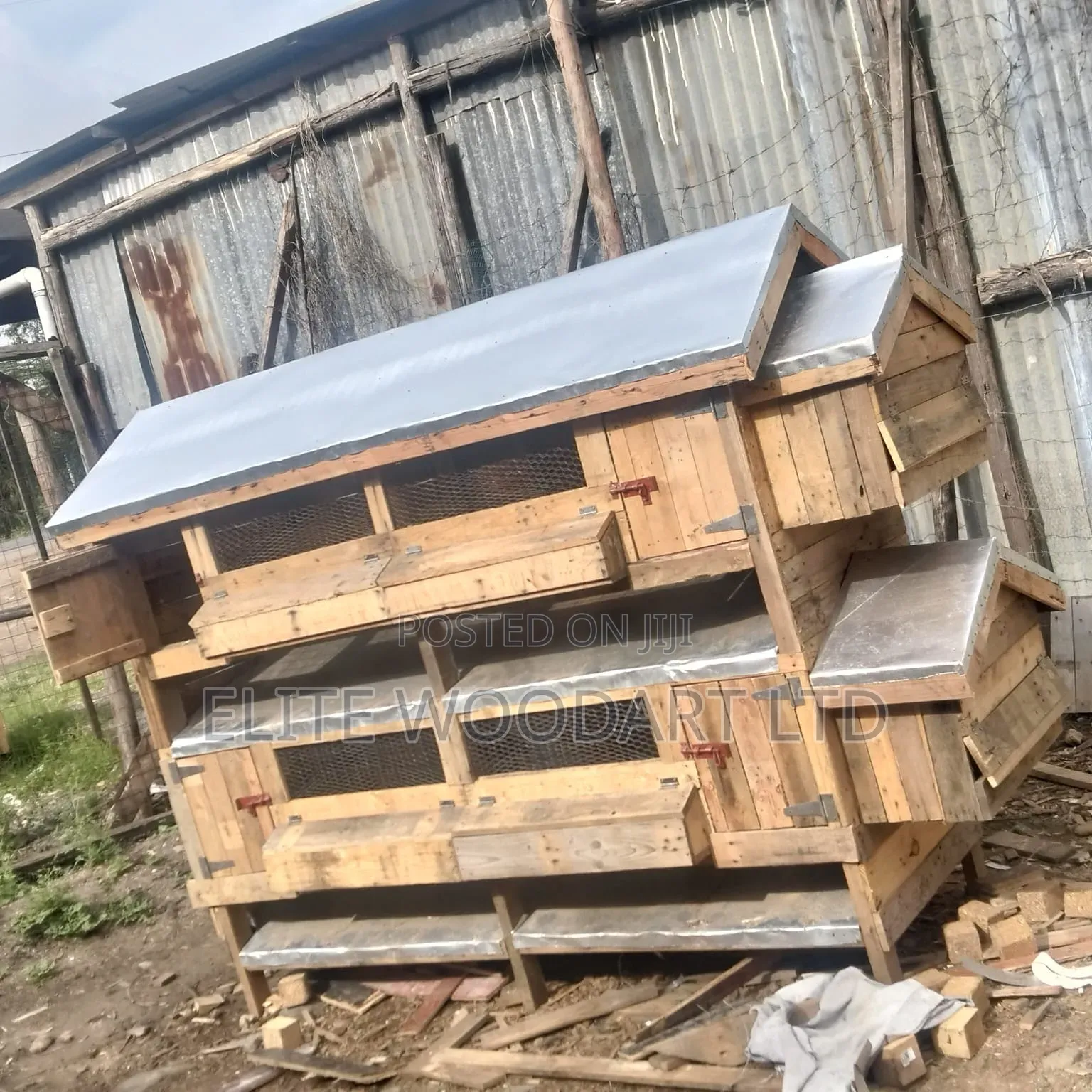 Self Cleaning Poultry Shed