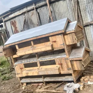 Self Cleaning Poultry Shed