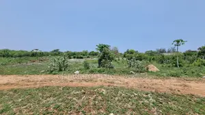 1⁄4 Acre Plot | 5-Min Walk to Beach | 4th Row Diani | Kshs. 5m