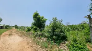 1⁄4 Acre Plot | 5-Min Walk to Beach | 4th Row Diani | Kshs. 5m