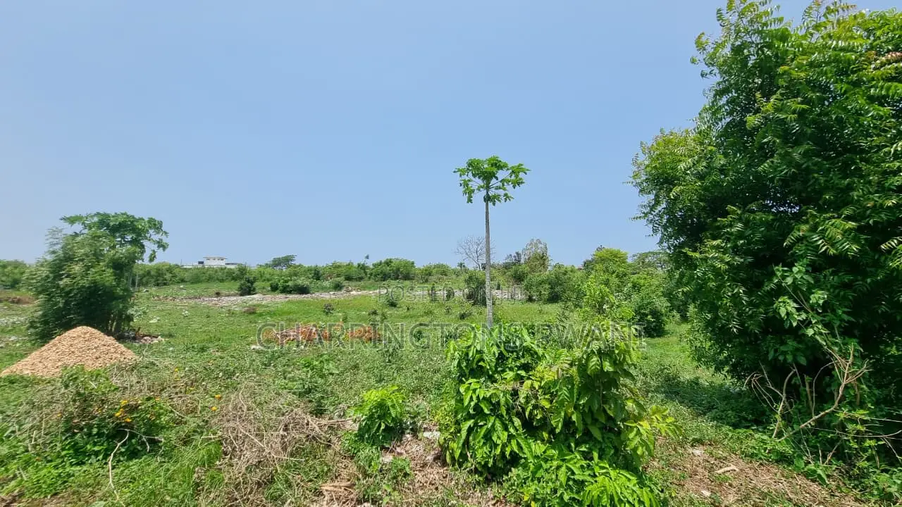 1⁄4 Acre Plot | 5-Min Walk to Beach | 4th Row Diani | Kshs. 5m