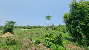 1⁄4 Acre Plot | 5-Min Walk to Beach | 4th Row Diani | Kshs. 5m