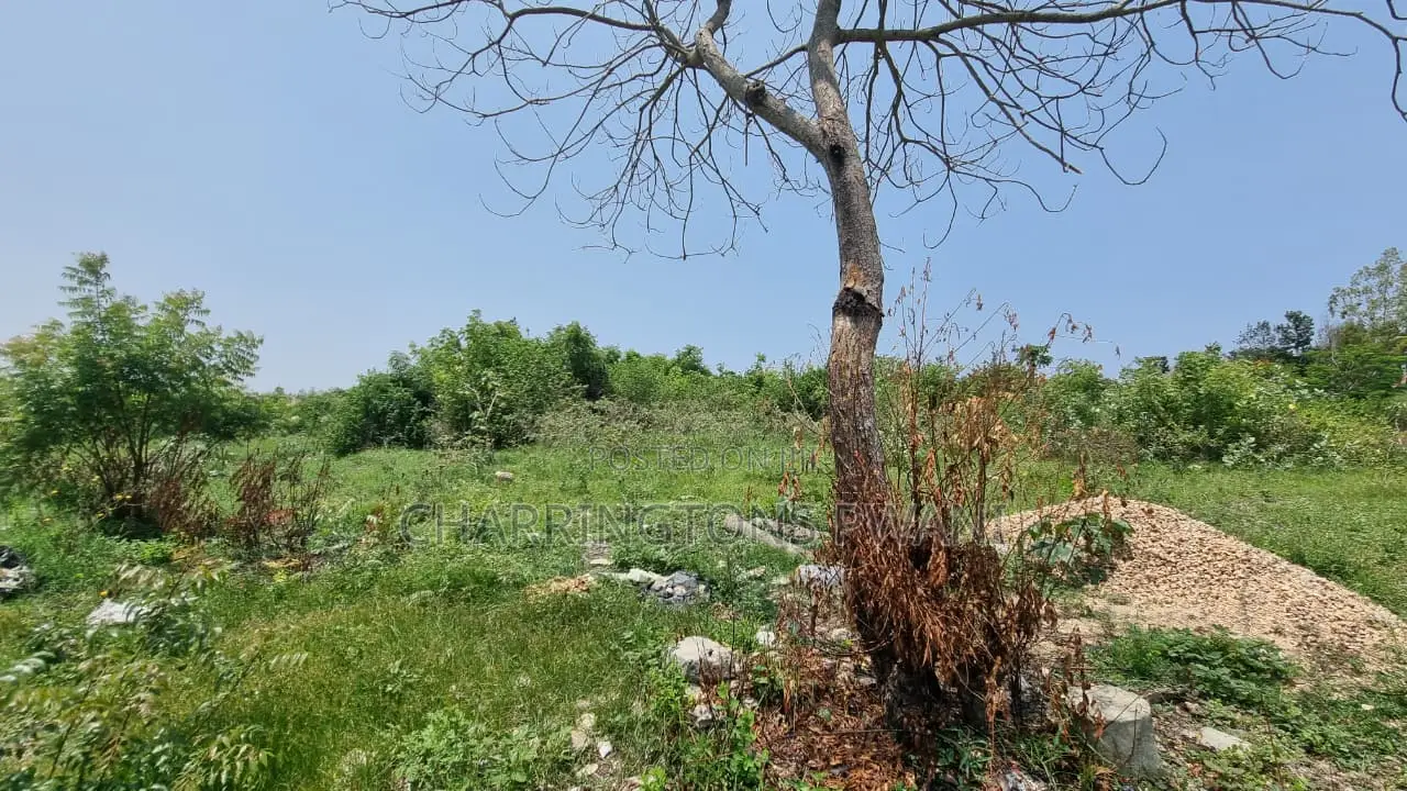 1⁄4 Acre Plot | 5-Min Walk to Beach | 4th Row Diani | Kshs. 5m