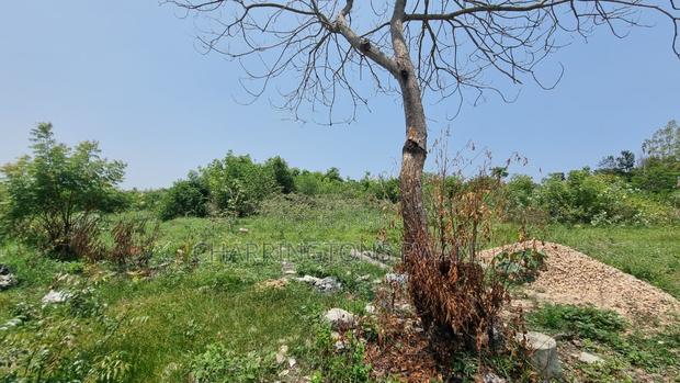 1⁄4 Acre Plot | 5-Min Walk to Beach | 4th Row Diani | Kshs. 5m - thumbnail 7