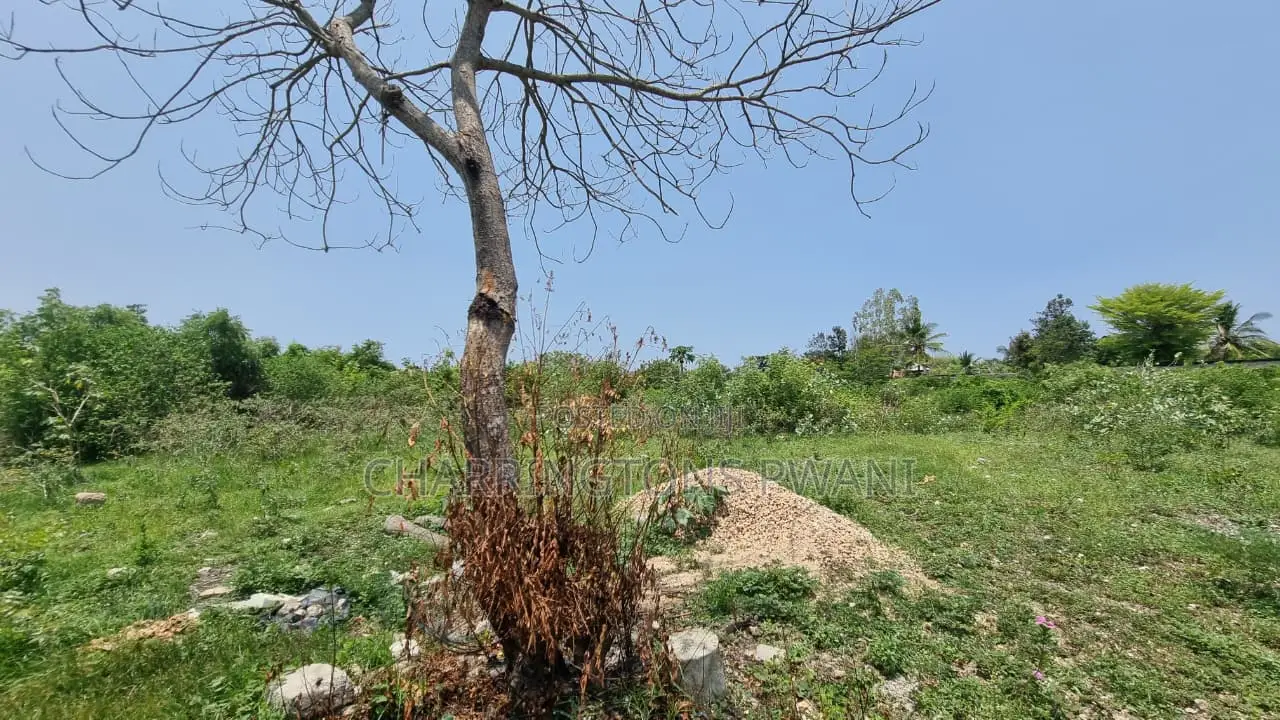 1⁄4 Acre Plot | 5-Min Walk to Beach | 4th Row Diani | Kshs. 5m