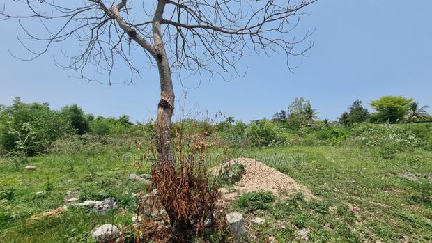 1⁄4 Acre Plot | 5-Min Walk to Beach | 4th Row Diani | Kshs. 5m - thumbnail 8