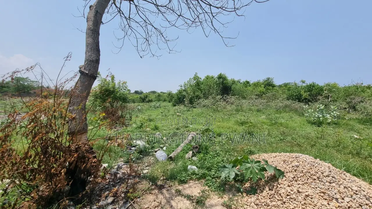 1⁄4 Acre Plot | 5-Min Walk to Beach | 4th Row Diani | Kshs. 5m