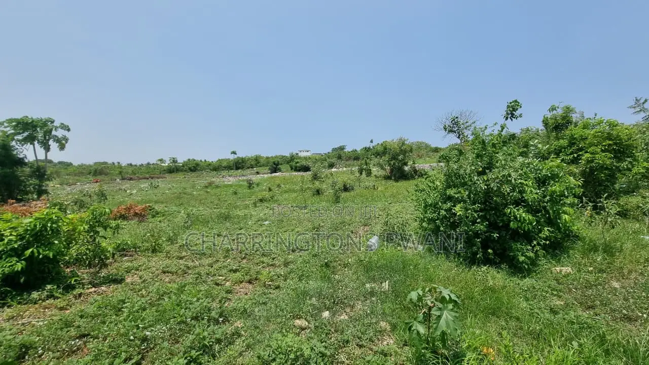 1⁄4 Acre Plot | 5-Min Walk to Beach | 4th Row Diani | Kshs. 5m