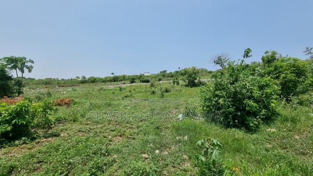 1⁄4 Acre Plot | 5-Min Walk to Beach | 4th Row Diani | Kshs. 5m - thumbnail 10