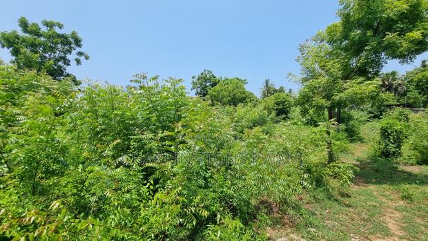 1 Acre Plot | 3rd Row Diani | Perimeter Wall | Kshs. 25m - thumbnail 2