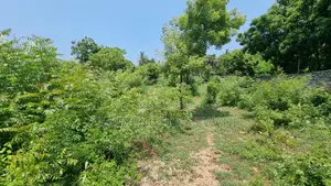 1 Acre Plot | 3rd Row Diani | Perimeter Wall | Kshs. 25m