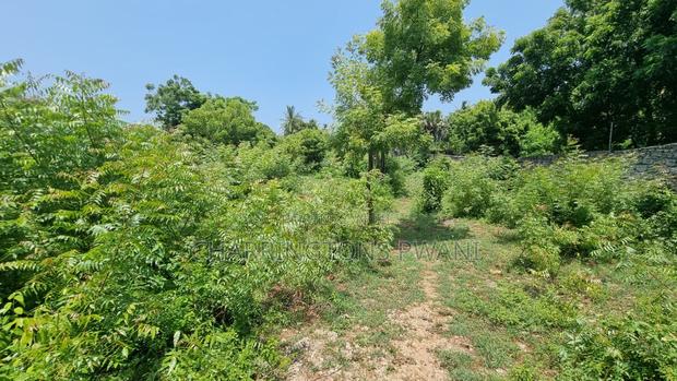 1 Acre Plot | 3rd Row Diani | Perimeter Wall | Kshs. 25m - thumbnail 3