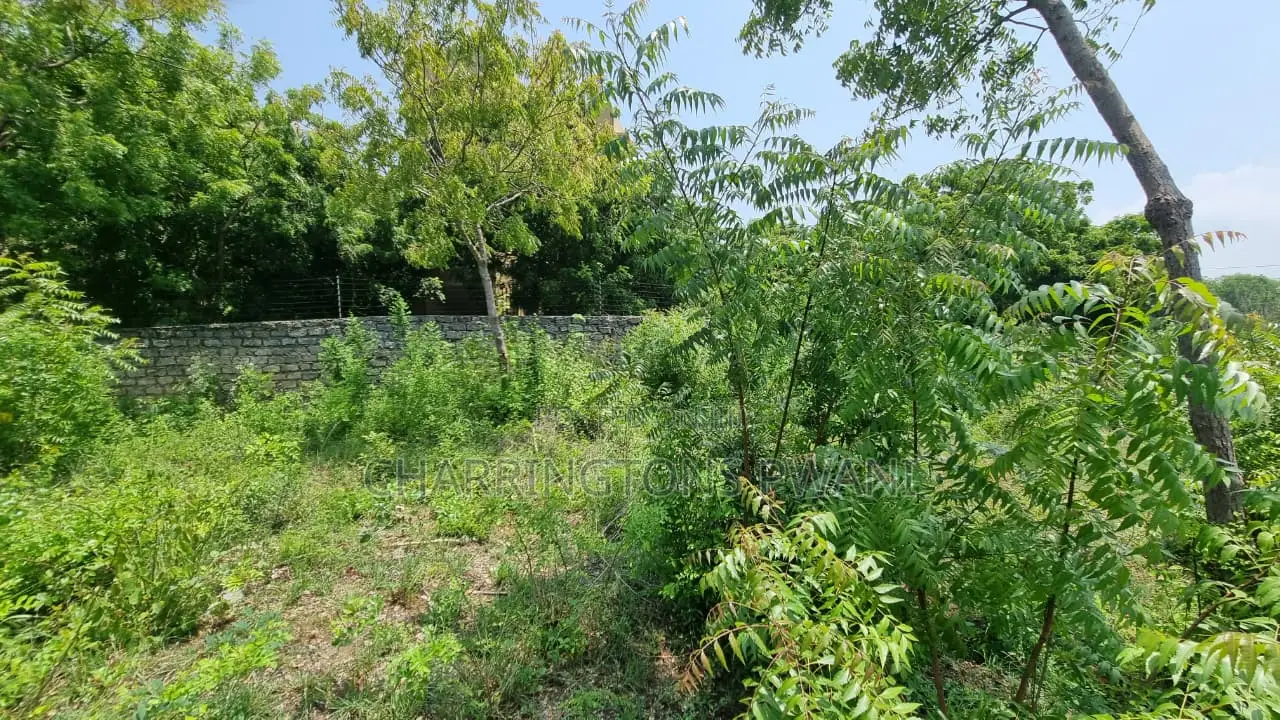 1 Acre Plot | 3rd Row Diani | Perimeter Wall | Kshs. 25m