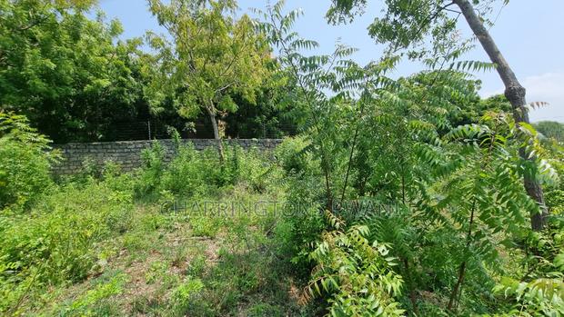 1 Acre Plot | 3rd Row Diani | Perimeter Wall | Kshs. 25m - thumbnail 4
