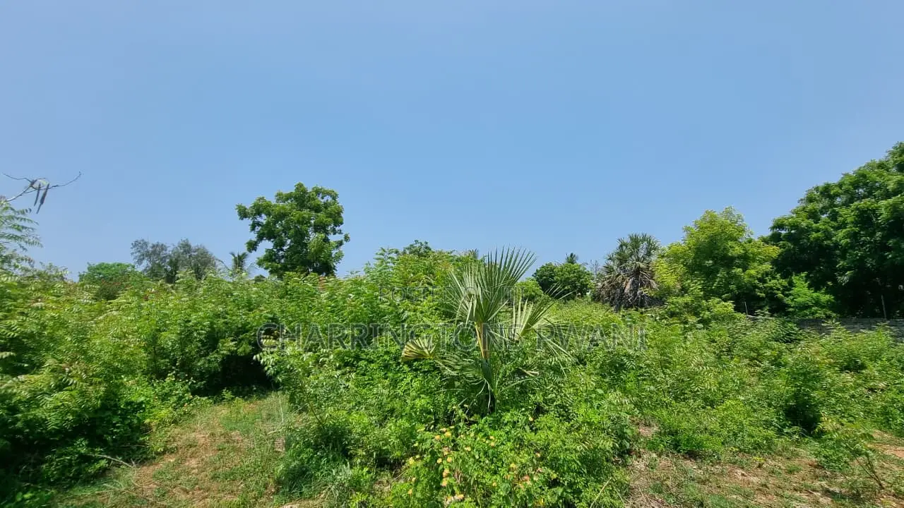 1 Acre Plot | 3rd Row Diani | Perimeter Wall | Kshs. 25m