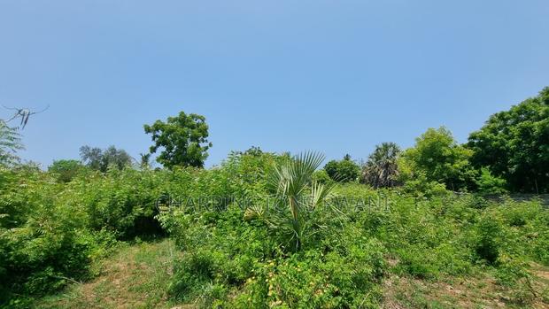 1 Acre Plot | 3rd Row Diani | Perimeter Wall | Kshs. 25m - thumbnail 5