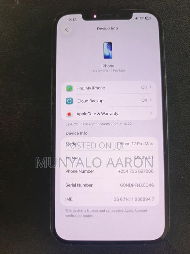 Apple iPhone 12 Pro Max 256 GB Blue - thumbnail 4