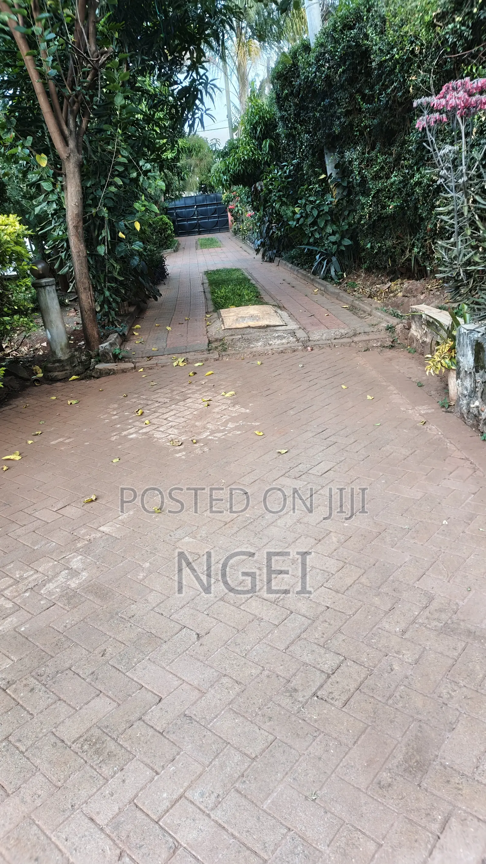3bdrm Duplex in Thome Estate for rent