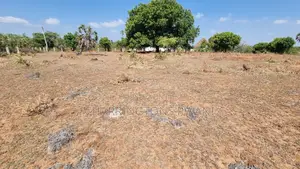 1⁄4 Acre Plot | 3rd Row Diani | Flat Beaconed | Municipal Water