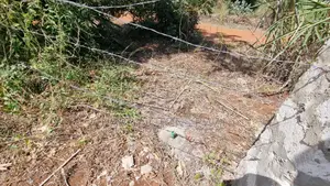 1⁄4 Acre Plot | 3rd Row Diani | Flat Beaconed | Municipal Water