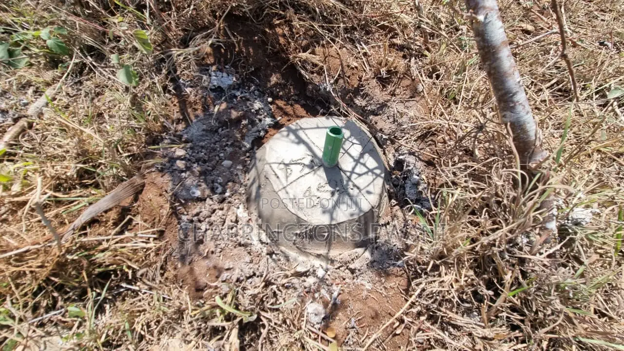1⁄4 Acre Plot | 3rd Row Diani | Flat Beaconed | Municipal Water