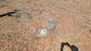 1⁄4 Acre Plot | 3rd Row Diani | Flat Beaconed | Municipal Water