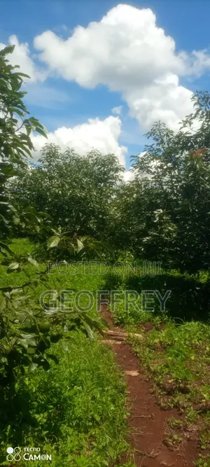 Selling 5 Acres in Kiganjo Rd Gatundu Gathage Area.