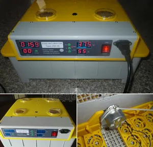 48 Chicken/132 Qauil Egg Full
Automatic Incubator