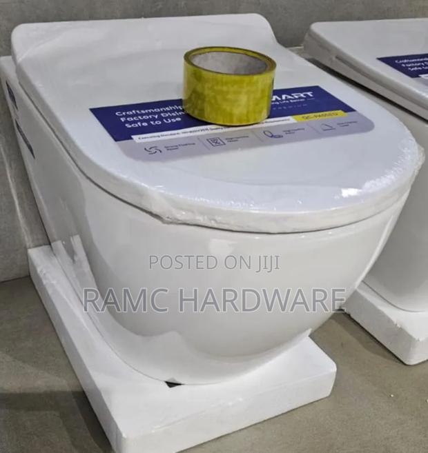 Back to Wall Toilets