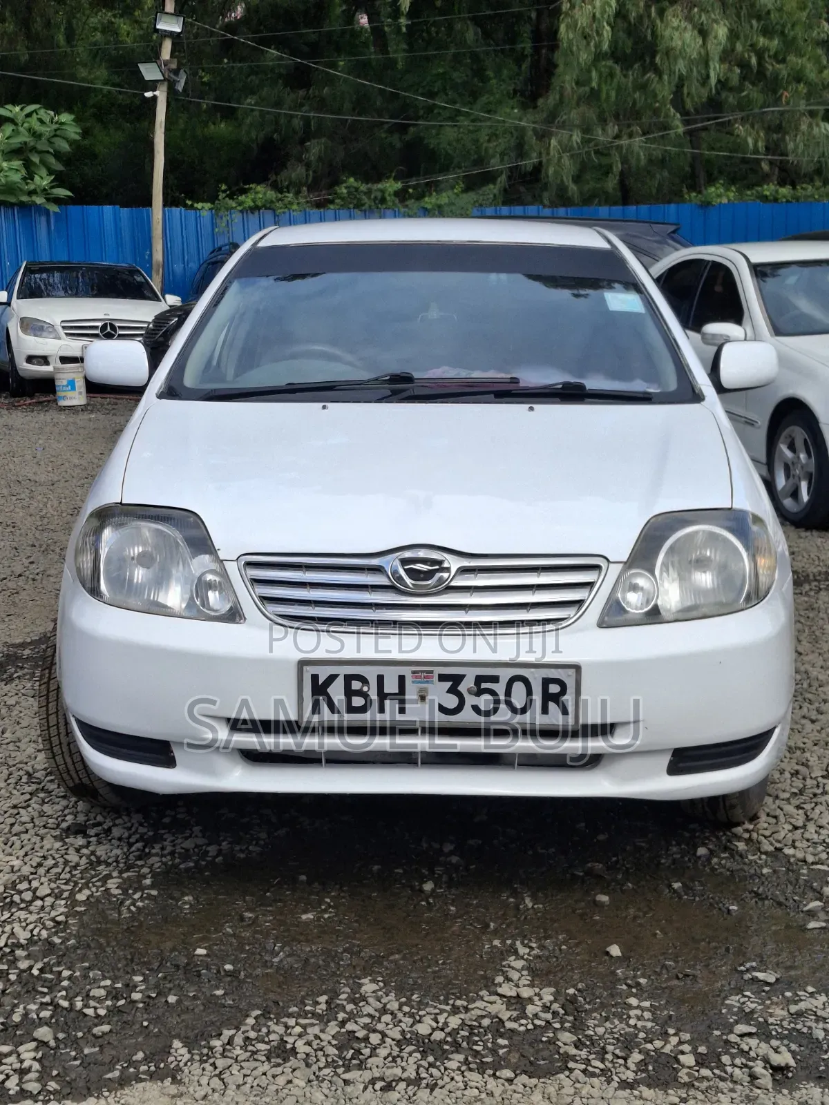 Toyota Corolla 2005 White
