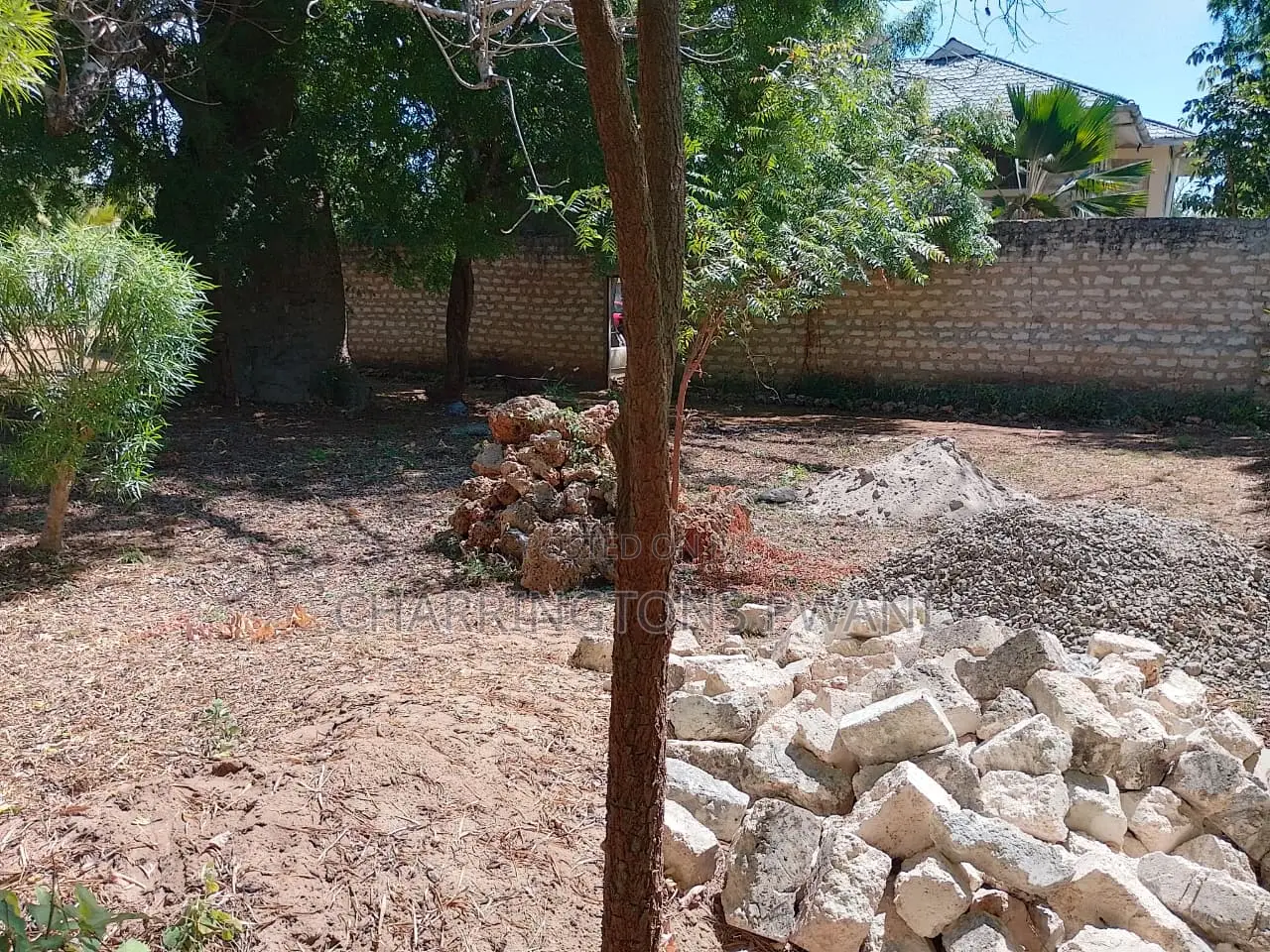1/8 Acre Plot | Mature Baobab | Road Frontage | 2km to Beach | Diani
