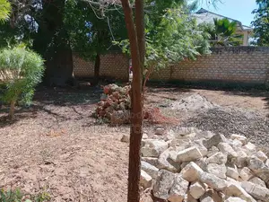 1/8 Acre Plot | Mature Baobab | Road Frontage | 2km to Beach | Diani