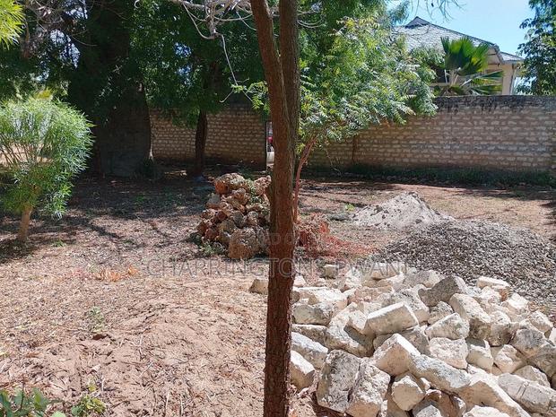 1/8 Acre Plot | Mature Baobab | Road Frontage | 2km to Beach | Diani - thumbnail 2