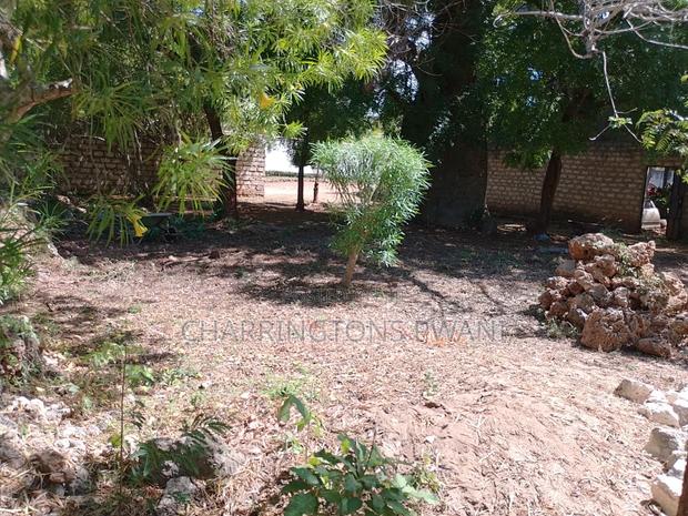 1/8 Acre Plot | Mature Baobab | Road Frontage | 2km to Beach | Diani - thumbnail 3