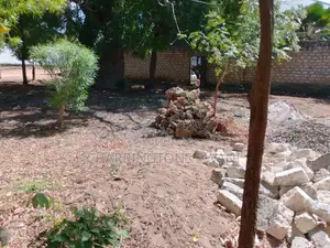 1/8 Acre Plot | Mature Baobab | Road Frontage | 2km to Beach | Diani