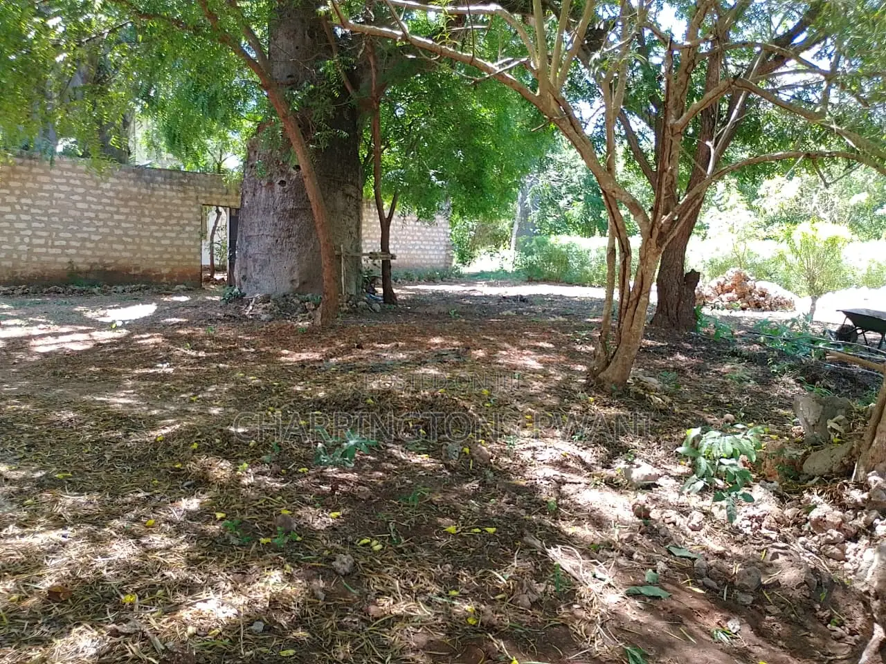 1/8 Acre Plot | Mature Baobab | Road Frontage | 2km to Beach | Diani