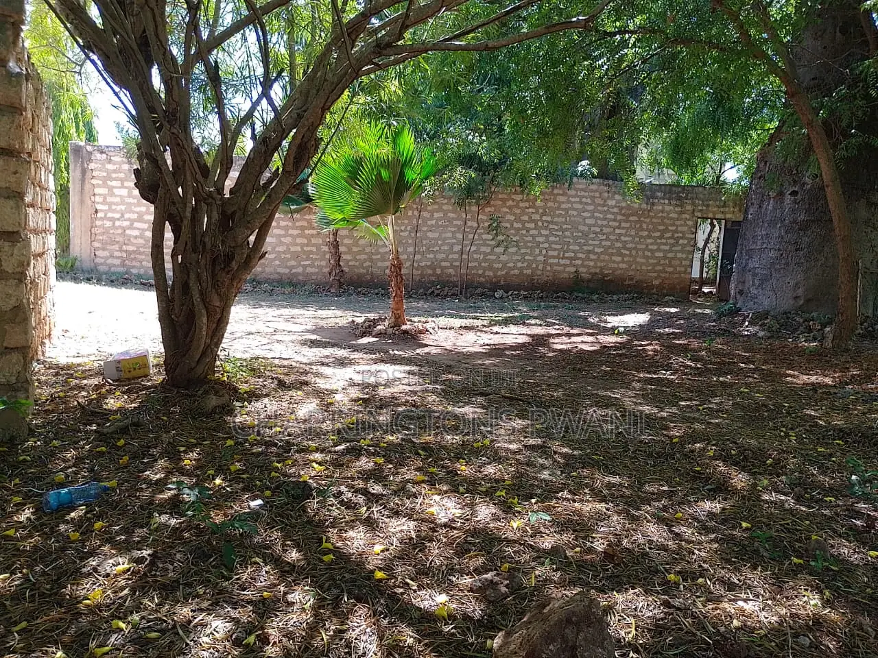 1/8 Acre Plot | Mature Baobab | Road Frontage | 2km to Beach | Diani