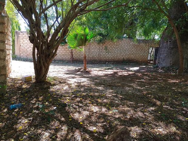 1/8 Acre Plot | Mature Baobab | Road Frontage | 2km to Beach | Diani - thumbnail 8
