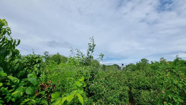 1⁄2 Acre Plot | 3rd Row Diani | Mature Vegetation | 6 Mins to Beach