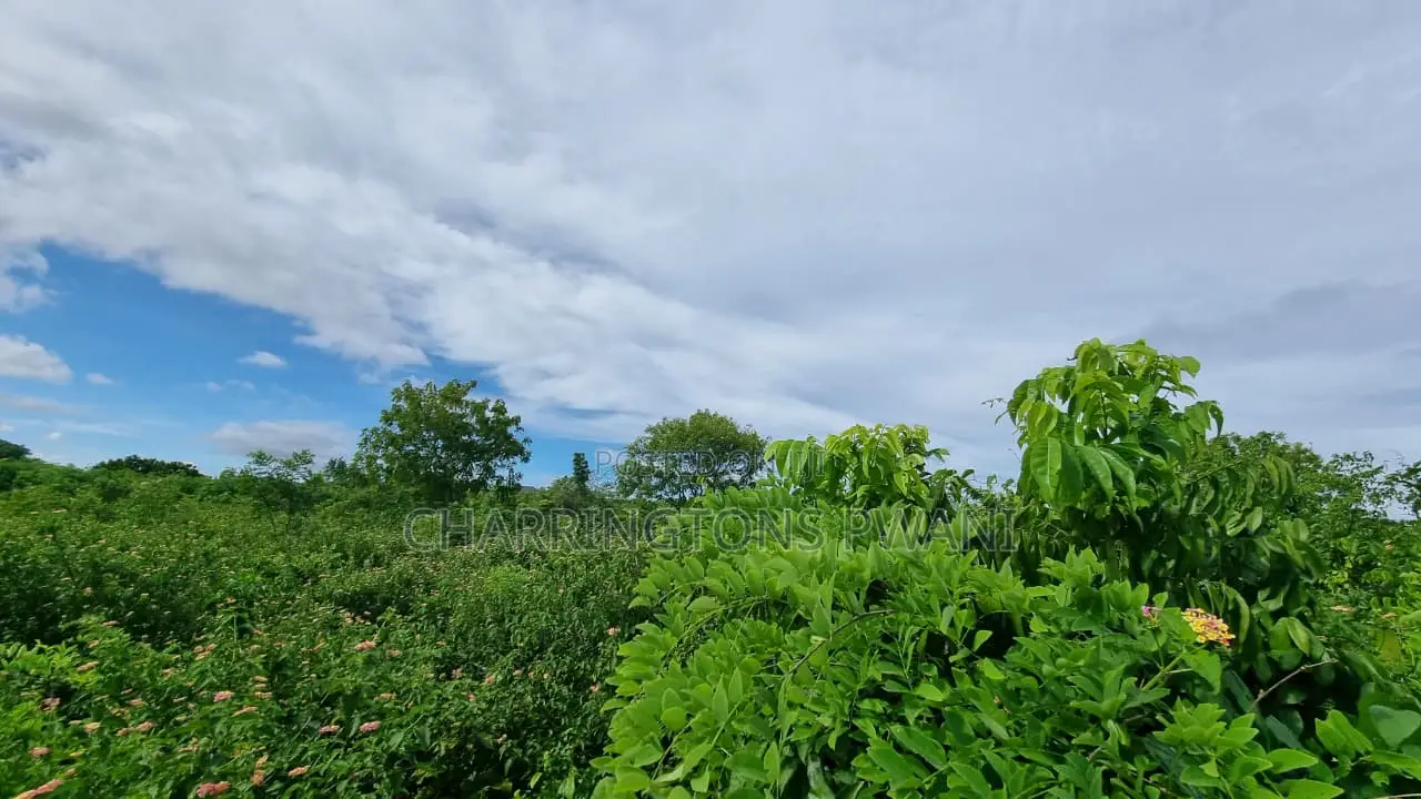 1⁄2 Acre Plot | 3rd Row Diani | Mature Vegetation | 6 Mins to Beach