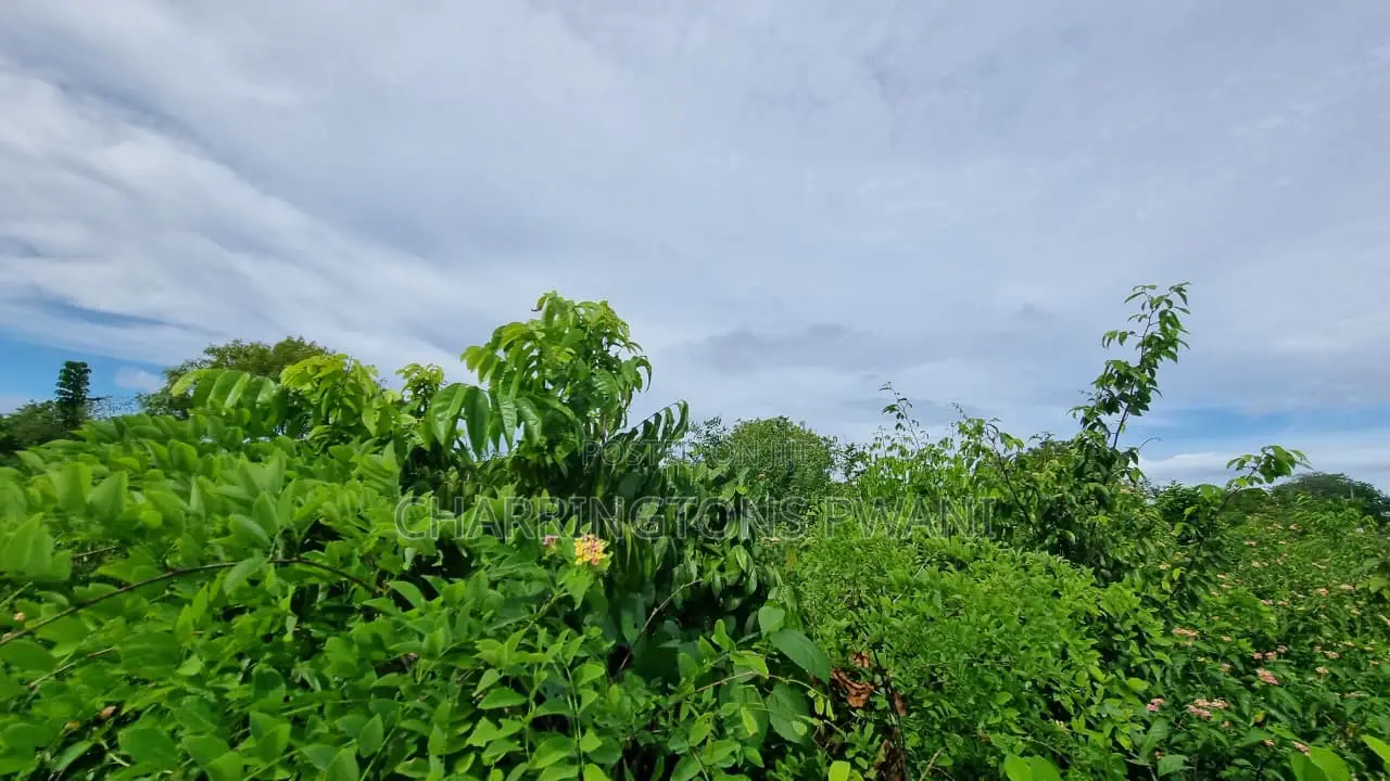 1⁄2 Acre Plot | 3rd Row Diani | Mature Vegetation | 6 Mins to Beach