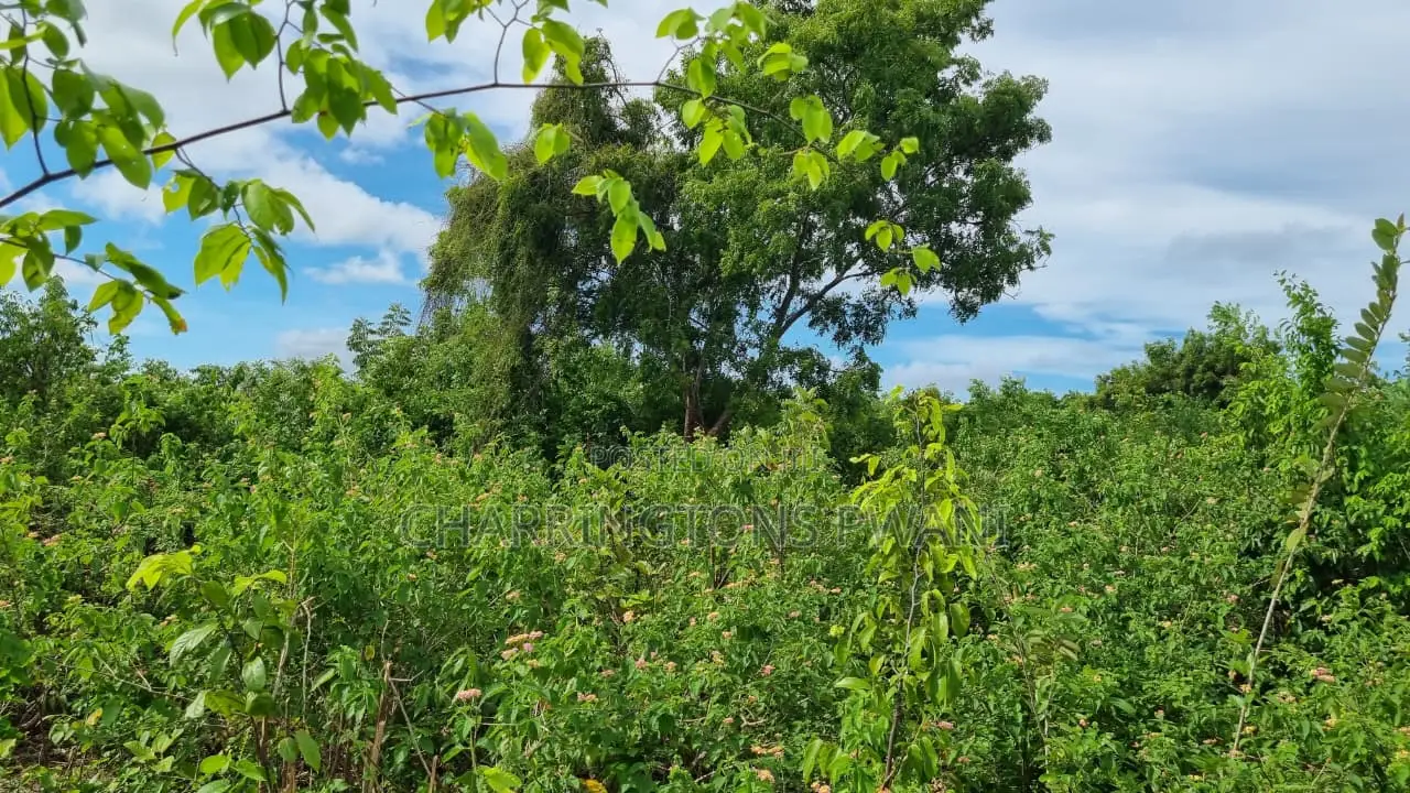 1⁄2 Acre Plot | 3rd Row Diani | Mature Vegetation | 6 Mins to Beach