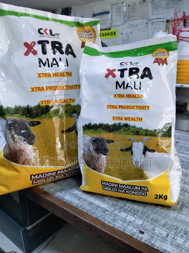 Extra Mali Goats and Sheep