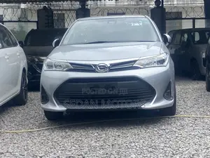 Toyota Corolla Fielder 2019 Silver